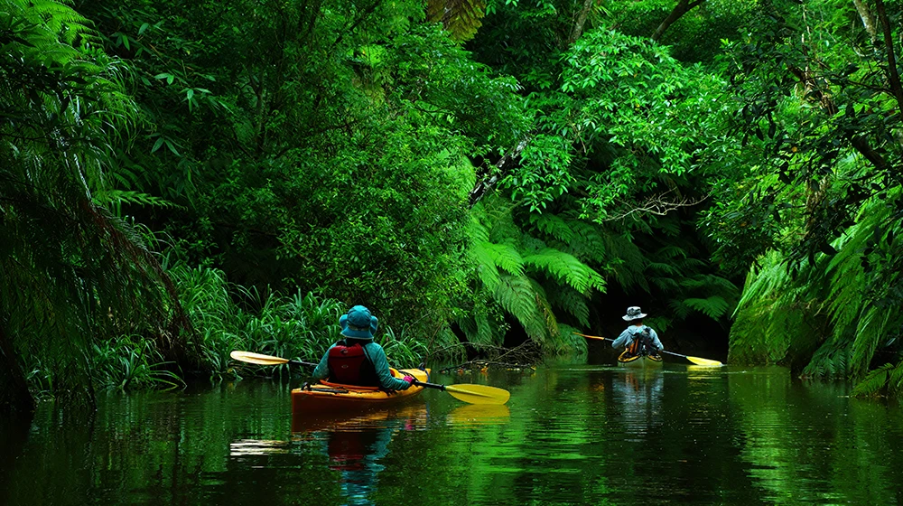 小浜島・西表島・竹富島（その他離島）